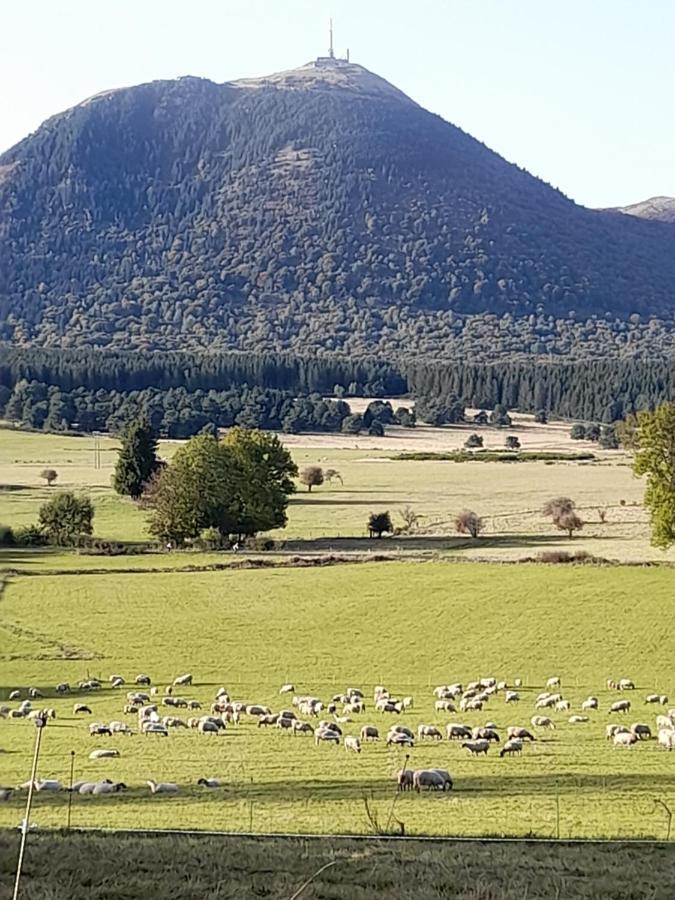 A 5 Mns Du Puy De Dome Avec Vue Imprenable Studio Rez De Jardin 24M2 Neuf A Laschamps Saint-Genes-Champanelle Экстерьер фото